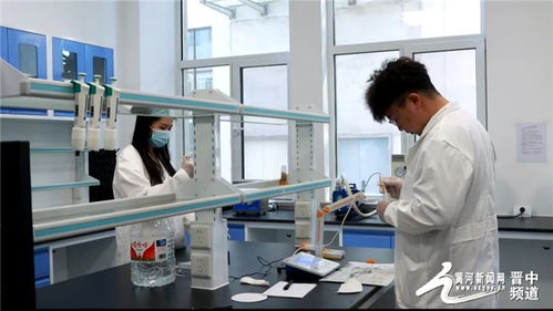 昔阳县以新质生产力赋能产业升级 院士工作站引领煤基固废资源化与生态治理创新