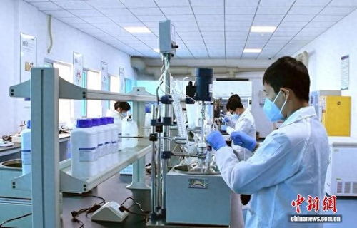 湖南湘江新区 强链补链 赋能新材料 技术突围塑产业新局