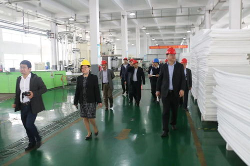 引领轻量化聚丙烯发泡材料研发,斩获上海市科技进步奖一等奖